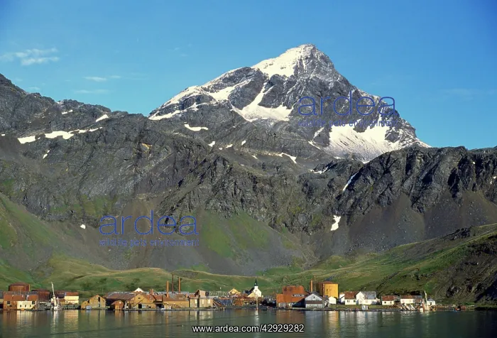 : Antarctic - Grytviken Whaling Station : Antarctic - Grytviken Whaling Station