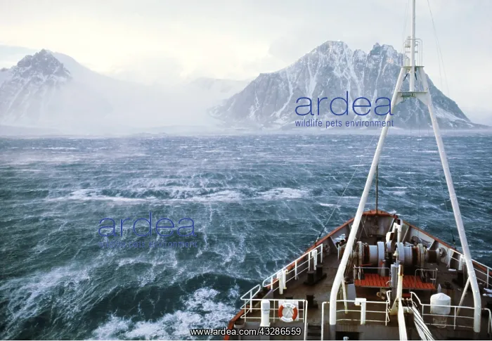 : Antarctic - high wind from glacier over sea : Antarctic - high wind from glacier over sea