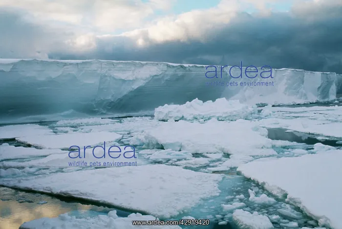: Antarctic - Ice flows breaking off ice shelf : Antarctic - Ice flows breaking off ice shelf