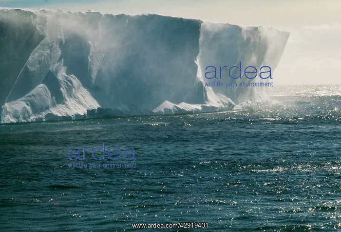 : Antarctic - Ice shelf, with drift snow, Hayley Bay : Antarctic - Ice shelf, with drift snow, Hayley Bay