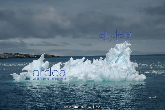  : Antarctic Iceberg
