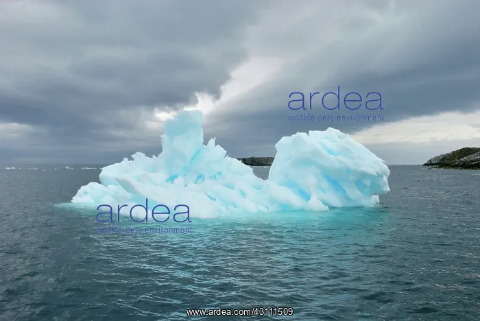 : Antarctic Iceberg : Antarctic Iceberg