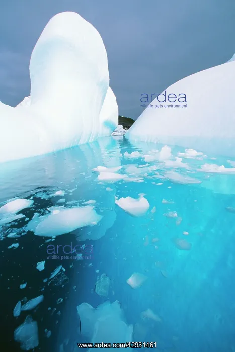  : Antarctic - Iceberg melting