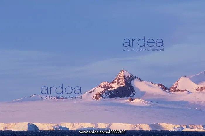: Antarctic Peninsula, Antarctic Sound. Mountain : Antarctic Peninsula, Antarctic Sound. Mountain