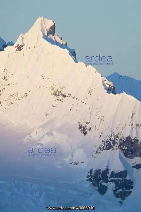 : Antarctic Peninsula, Bransfield Strait : Antarctic Peninsula, Bransfield Strait