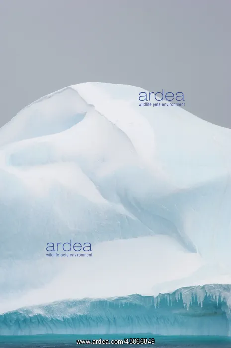 : Antarctic Peninsula, Erebus and Terror Gulf : Antarctic Peninsula, Erebus and Terror Gulf