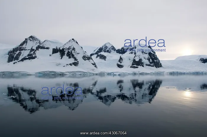 : Antarctic Peninsula, Errera Channel. Mountain : Antarctic Peninsula, Errera Channel. Mountain