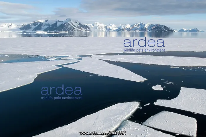 : Antarctic Peninsula, Marguerite Bay. Broken : Antarctic Peninsula, Marguerite Bay. Broken