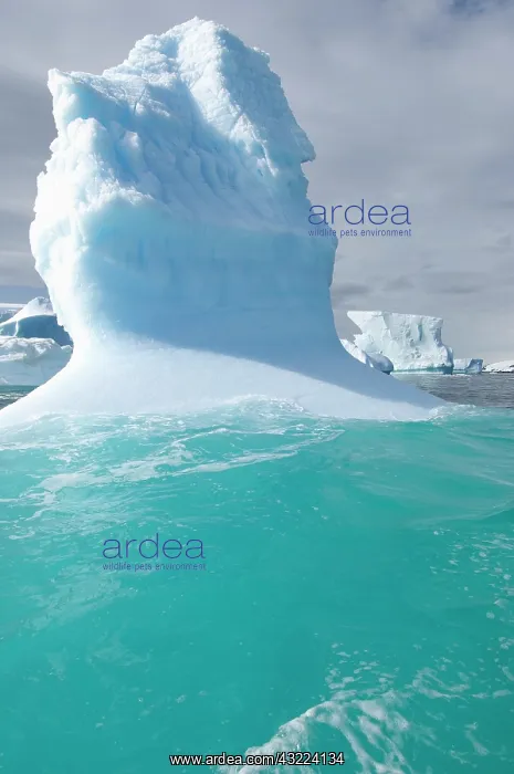  : Antarctic Peninsula, Melchior Archipelago