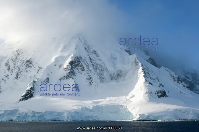 : Antarctic Peninsula, Neumayer Channel. Mountain : Antarctic Peninsula, Neumayer Channel. Mountain