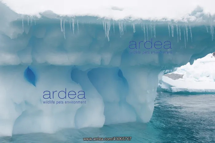 : Antarctic Peninsula, Pleneau Bay. Iceberg : Antarctic Peninsula, Pleneau Bay. Iceberg