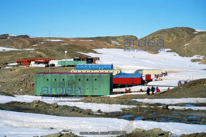 : Antarctica : Antarctica