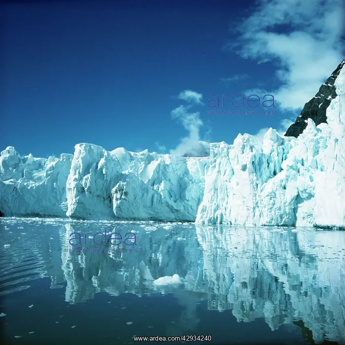 : ANTARCTICA : ANTARCTICA