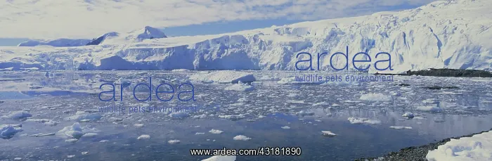  : Antarctica