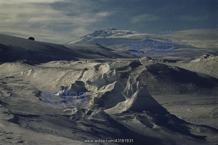 : Antarctica : Antarctica