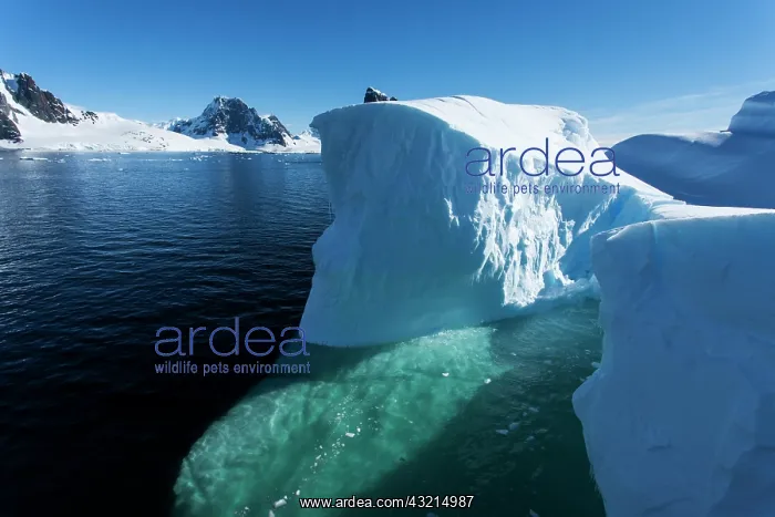 : Antarctica, Aerial view of massive tabular : Antarctica, Aerial view of massive tabular