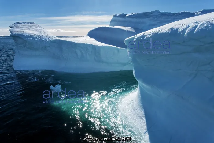 : Antarctica, Aerial view of massive tabular : Antarctica, Aerial view of massive tabular