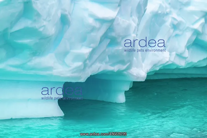 : Antarctica, Andvord Bay. Close-up of icebergs. ic Cathy & : Antarctica, Andvord Bay. Close-up of icebergs. ic Cathy &