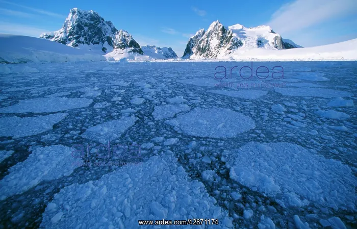 : Antarctica - Antarctic peninsula, pack ice : Antarctica - Antarctic peninsula, pack ice