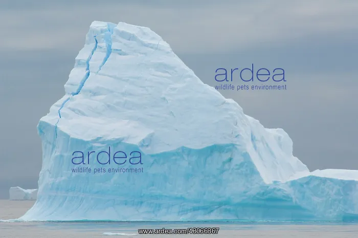 : Antarctica, Antarctic Penninsula, Antarctic : Antarctica, Antarctic Penninsula, Antarctic