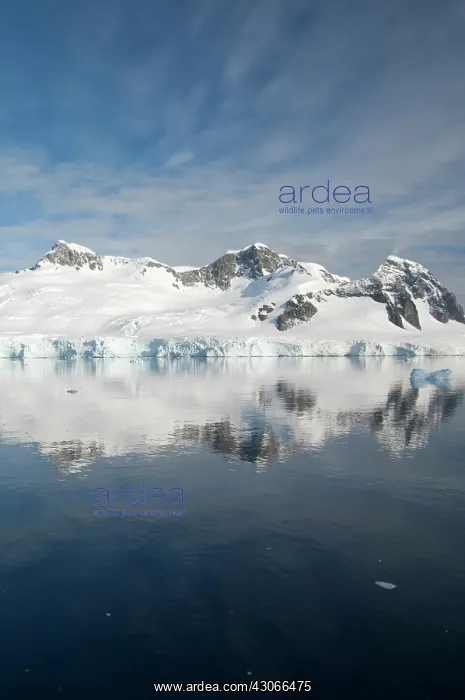 : Antarctica, Antarctic Penninsula. Paradise : Antarctica, Antarctic Penninsula. Paradise