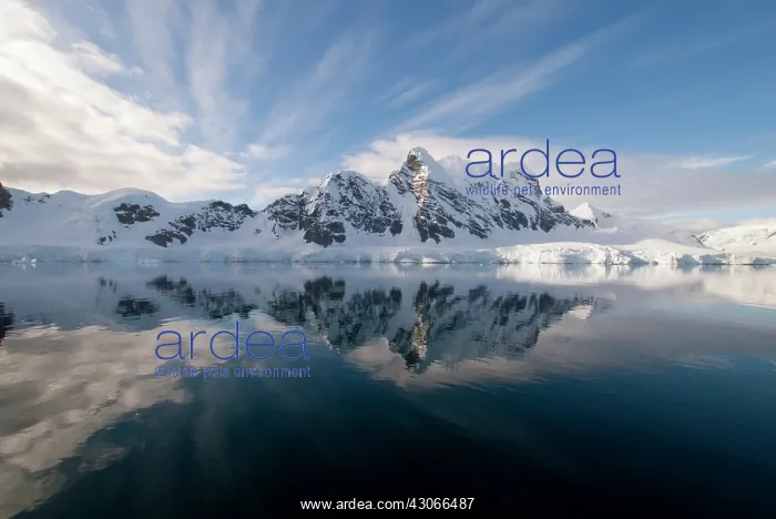 : Antarctica, Antarctic Penninsula. Paradise : Antarctica, Antarctic Penninsula. Paradise