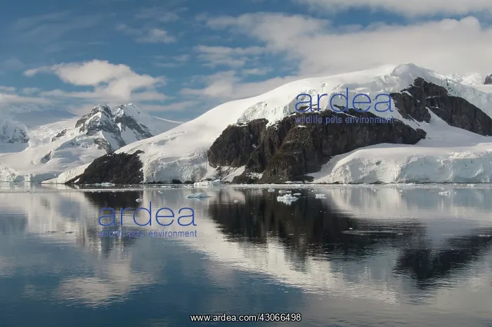 : Antarctica, Antarctic Penninsula. Paradise : Antarctica, Antarctic Penninsula. Paradise