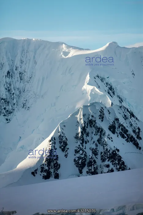 : Antarctica, Anvers Island, Setting sun lights : Antarctica, Anvers Island, Setting sun lights