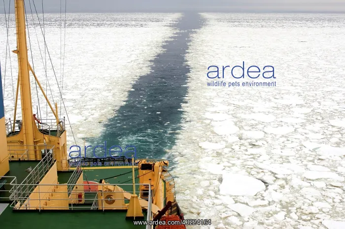 : Antarctica, Bellingshausen Sea. The Russian : Antarctica, Bellingshausen Sea. The Russian