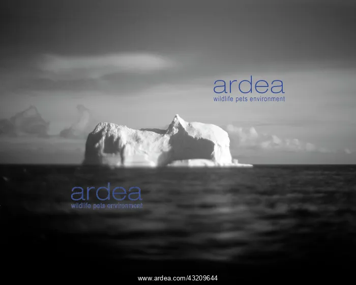 : Antarctica, Blurred black and white image : Antarctica, Blurred black and white image