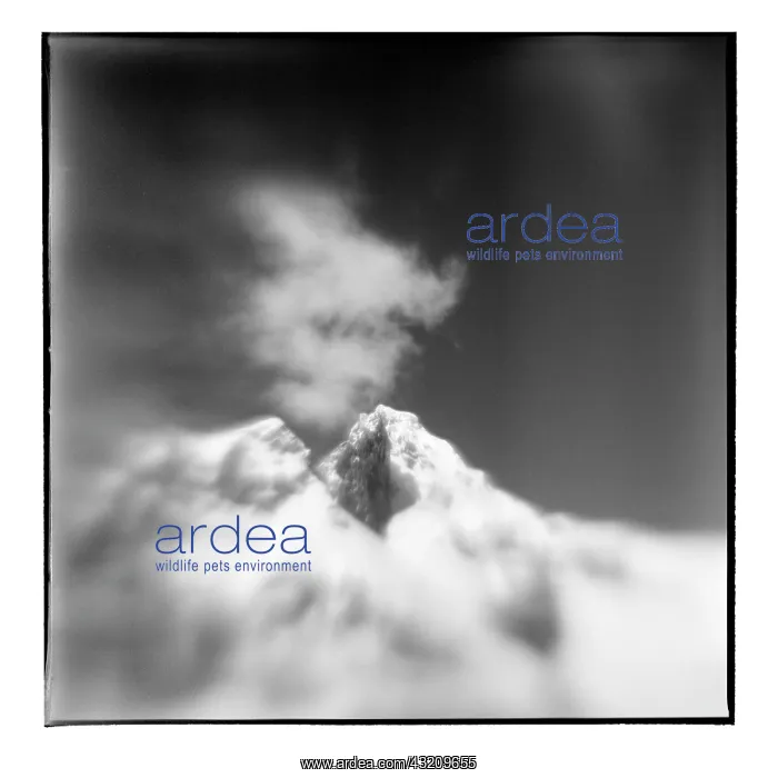 : Antarctica, Blurred black and white image : Antarctica, Blurred black and white image