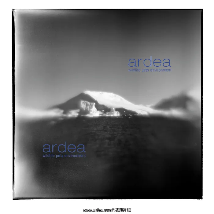  : Antarctica, Blurred black and white image
