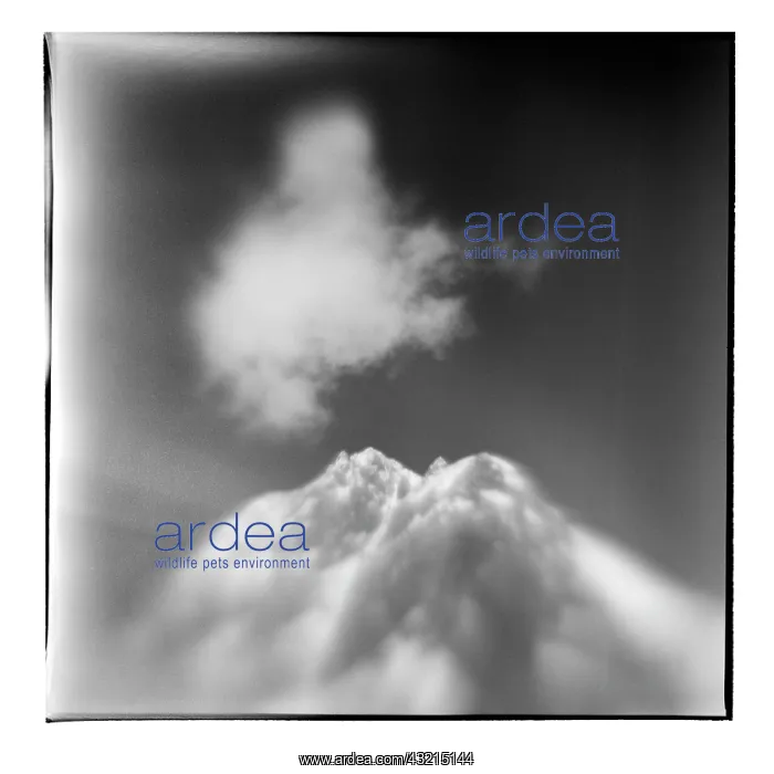 : Antarctica, Blurred black and white image : Antarctica, Blurred black and white image