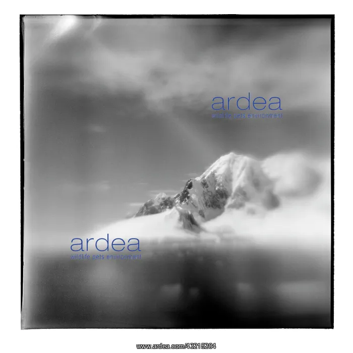 : Antarctica, Blurred black and white image : Antarctica, Blurred black and white image