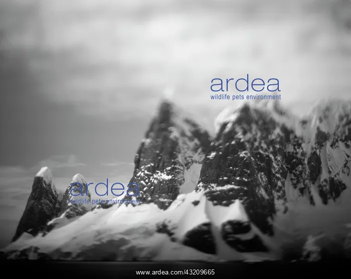 : Antarctica, Blurred color image of mountain : Antarctica, Blurred color image of mountain