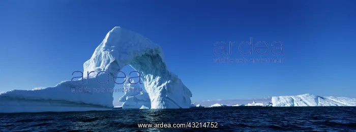 : Antarctica, Boothe Island, Afternoon sun : Antarctica, Boothe Island, Afternoon sun