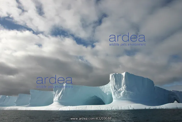 : Antarctica, Bransfield Strait, Afternoon : Antarctica, Bransfield Strait, Afternoon