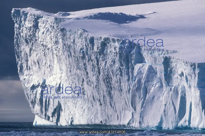 : Antarctica, Bransfield Strait, Afternoon : Antarctica, Bransfield Strait, Afternoon