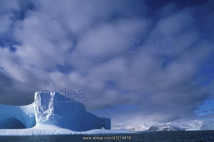 : Antarctica, Bransfield Strait, Afternoon : Antarctica, Bransfield Strait, Afternoon