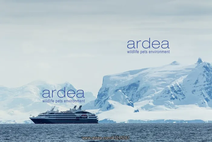 : Antarctica, Cruise ship motoring past glacier-covered : Antarctica, Cruise ship motoring past glacier-covered