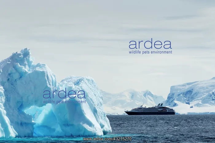 : Antarctica, Cruise ship motoring past glacier-covered : Antarctica, Cruise ship motoring past glacier-covered