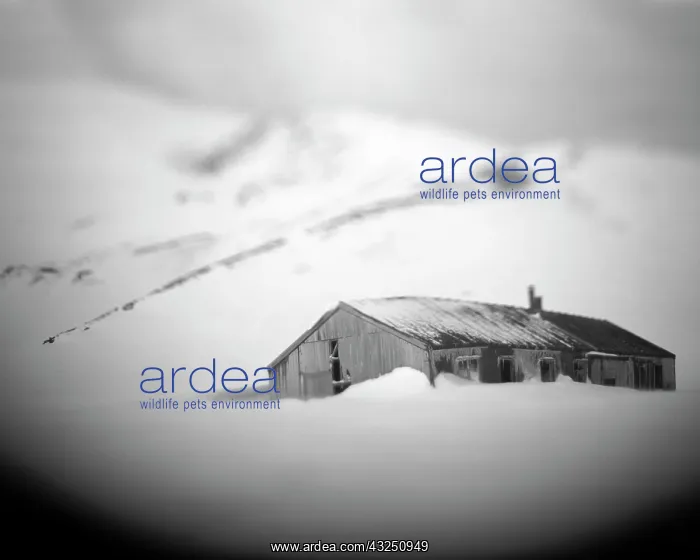 : Antarctica, Deception Island, Blurred black : Antarctica, Deception Island, Blurred black