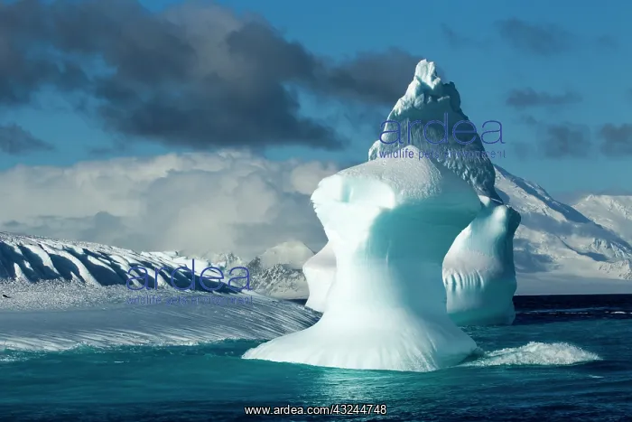 : Antarctica, Deception Island, Glacial iceberg : Antarctica, Deception Island, Glacial iceberg