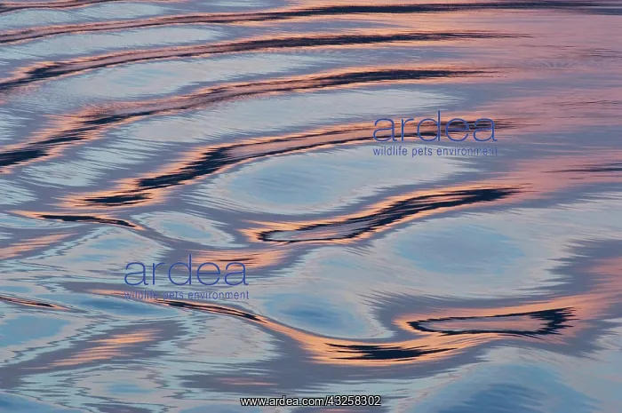 : Antarctica, Drake passage. Sea reflecting : Antarctica, Drake passage. Sea reflecting
