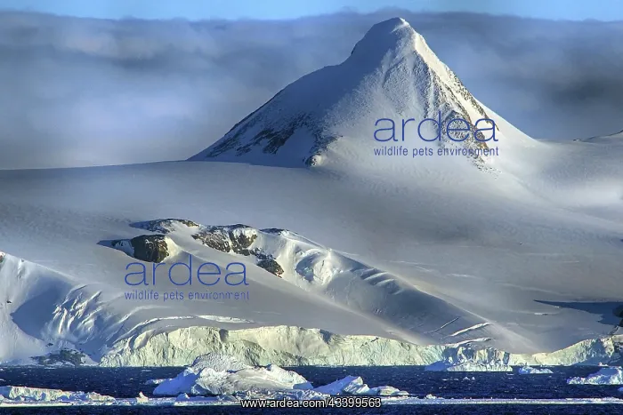 : Antarctica, Ice landscape in the Wedell Sea, Wedell : Antarctica, Ice landscape in the Wedell Sea, Wedell