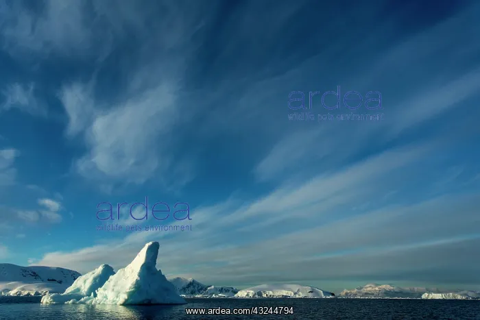 : Antarctica, Iceberg floating near Enterprise : Antarctica, Iceberg floating near Enterprise
