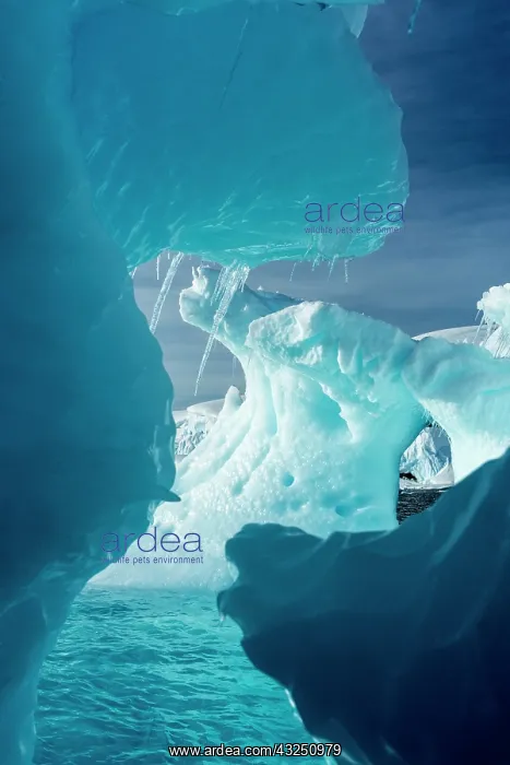 : Antarctica, Icebergs floating near Enterprise : Antarctica, Icebergs floating near Enterprise