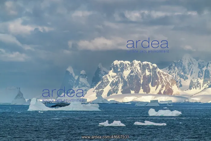 : Antarctica. Landscape with mountains and icebergs. ic Cathy : Antarctica. Landscape with mountains and icebergs. ic Cathy