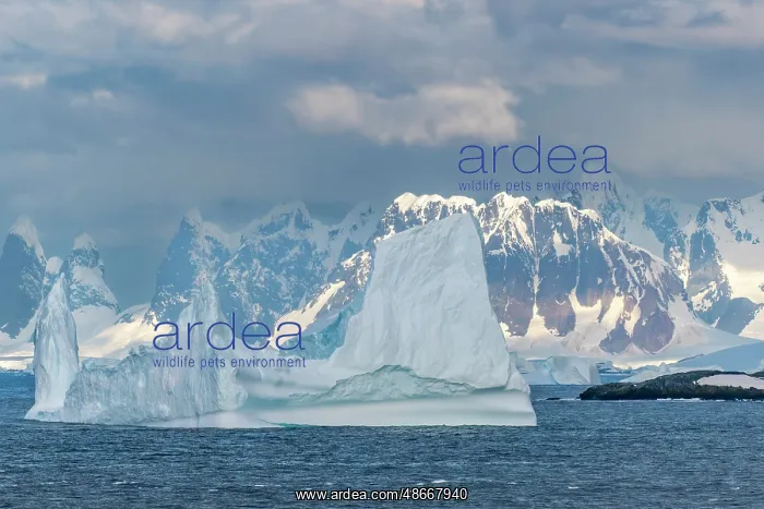 : Antarctica. Landscape with mountains and icebergs. ic Cathy : Antarctica. Landscape with mountains and icebergs. ic Cathy