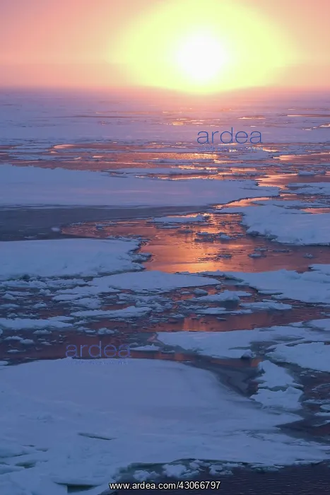 : Antarctica, Lazarev sea. Brokern pack ice : Antarctica, Lazarev sea. Brokern pack ice